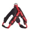Hunter Harnais Vario Quick Neopren Rouge/noir M -Meilleure Animalerie 8d12291a852fa8ed3e207522fc960f18e178aab1 748706c6922da1b48660d85fac7b49499b08f466