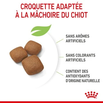 ROYAL CANIN Giant Junior Croquettes Chien 15 Kg 9 ROYAL CANIN Giant Junior Croquettes Chien 15 Kg – Image 7