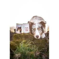 DOG'S LOVE Dog’s Love Adult Hypoallergénique 6 X 400 G -Meilleure Animalerie 8e9dbde41a1a7703f7e724e8cfbb5769f1859ef8 1274558 2