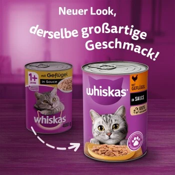 Whiskas Adult 1+ Sauce 12 X 400 G Volaille – Image 5