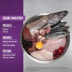 Orijen Croquettes Chiots Puppy Large Breed 6 Kg -Meilleure Animalerie 9047369b522978c12a8a88b929da02e9deb5127a 1261043 fr FR puppylarge 2