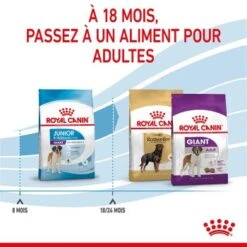 ROYAL CANIN Giant Junior Croquettes Chien 15 Kg 20 ROYAL CANIN Giant Junior Croquettes Chien 15 Kg -Meilleure Animalerie 93372071dae5d288a43694a1380ece9bbbc569f0 1003112009 fr FR giantjun 18 Kopie