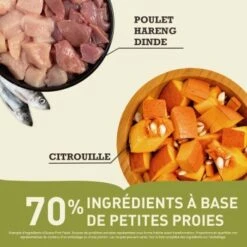 ACANA First Feast Au Poulet Et Au Poisson 1,8 Kg 9 ACANA First Feast Au Poulet Et Au Poisson 1,8 Kg -Meilleure Animalerie 938833879470ff6fc52936da15d7a7a77d6c029e 1384282 fr FR AcanaFirstFeast.2