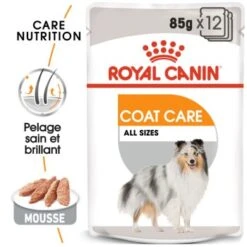 ROYAL CANIN Coat Care Nourriture Humide Chien 12 X 85 G