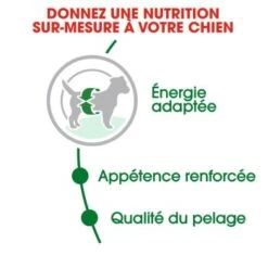 ROYAL CANIN Mini Adulte Croquettes Chien 2 Kg -Meilleure Animalerie 948b23ab6f0774557077854821e8cd80d25c6712 0010bffe08776d435fd93f219f8b261343ff6181