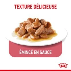ROYAL CANIN Light Weight Care Nourriture Humide Chat 12 X 85 G En Sauce -Meilleure Animalerie 95bf29af7086651c4ddf8d74d678f8faf3d5ebc4 1099138 fr FR lightweight 4