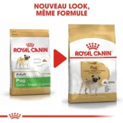 ROYAL CANIN Carlin Adulte Croquettes Chien 1,5 Kg 17 ROYAL CANIN Carlin Adulte Croquettes Chien 1,5 Kg -Meilleure Animalerie 967c5fe109842bbdc9324e622ef158ca8fc3a228 1002584006 fr FR pug 4
