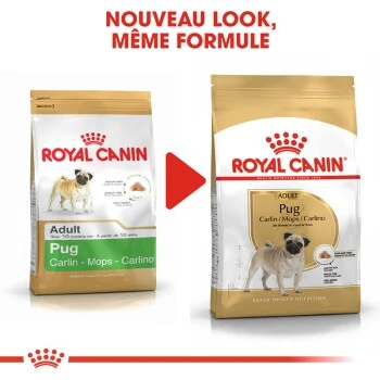 ROYAL CANIN Carlin Adulte Croquettes Chien 1,5 Kg 10 ROYAL CANIN Carlin Adulte Croquettes Chien 1,5 Kg – Image 8