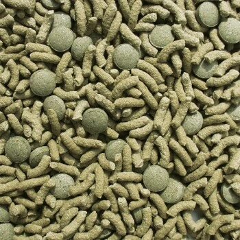 Sera Raffy Vital 1 000 Ml 4 Sera Raffy Vital 1 000 Ml – Image 2