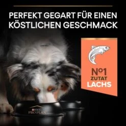 PRO PLAN Croquettes Chien Medium Adulte Sensitive Skin 14 Kg -Meilleure Animalerie 975c3c1eaa0ff309e6a4f4d9d25b97d74ad7910e 1206429 3