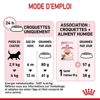 ROYAL CANIN Stérilisé Chaton Croquettes Chat 2 Kg 5 ROYAL CANIN Stérilisé Chaton Croquettes Chat 2 Kg – Image 3