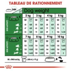 ROYAL CANIN Mini Adulte Croquettes Chien 2 Kg -Meilleure Animalerie 9b08596d01ee55d7c3ed265b86812b64ea05fc0d f36beaf3740ef24338ca551d7348a72008080121