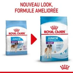 ROYAL CANIN Giant Junior Croquettes Chien 15 Kg 22 ROYAL CANIN Giant Junior Croquettes Chien 15 Kg -Meilleure Animalerie 9b3d101e13e54cec73e8c9ffe38a759a05638ef4 1003112009 fr FR giantjun 13 Kopie
