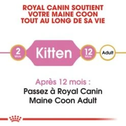 ROYAL CANIN Maine Coon Chaton Croquettes Chat 4 Kg -Meilleure Animalerie 9b9a69508c04cdc43f79944a431bf099efca62a7 1044102 fr FR maincoonkitten 2