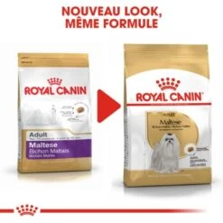 ROYAL CANIN Bichon Maltais Adulte Croquettes Chien 1,5 Kg 1,5 Kg -Meilleure Animalerie 9cabfd9b8f4074a81210a10927637999471b1a47 1052757 fr FR maltese 6