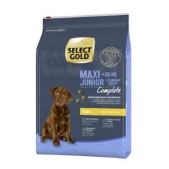 SELECT GOLD Complete Maxi Junior Poulet 4 Kg