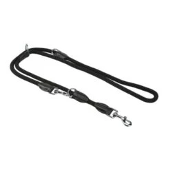 AniOne Laisse En Nylon Pour Retriever Activity