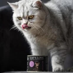 CAT'S LOVE Cat’s Love Adult 6 X 200 G Mix Au Saumon Et Poulet -Meilleure Animalerie 9f5ceb79b2a81b5d71324bf8c941db032fa9b64d 1301969 1