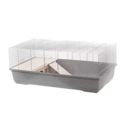 Interzoo Cage Pour Petits Animaux Olaf