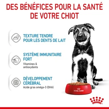 ROYAL CANIN Maxi Chiot Nourriture Humide Chien 10 X 140 G 7 ROYAL CANIN Maxi Chiot Nourriture Humide Chien 10 X 140 G – Image 5