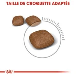 ROYAL CANIN Urinary Care Croquettes Chat 2 Kg -Meilleure Animalerie a21405feab23b13f3698d619c84afe6c218c850a 1189974 fr FR urinary 4 Kopie Kopie Kopie
