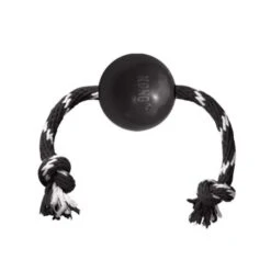 KONG Extreme Ball AniOne Avec Corde
