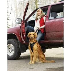 Kurgo Harnais De Sécurité XS -Meilleure Animalerie a4c7eb8e01c5ebf8b8255f21e324157d729bdb03 42ffd01cdabc319c346d47b466ac3c3ee74ac6ef