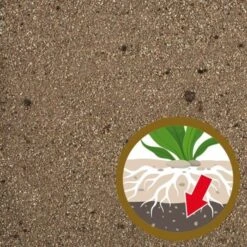 Tetra Substrats Complete 2,5 Kg -Meilleure Animalerie a4e967ee714ee022c19d36c390e314639512d54c 1c00b09a3ab29ddcceadd48a97de0933cd7a8fee