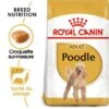 ROYAL CANIN Caniche Adulte Croquettes Chien 1,5 Kg -Meilleure Animalerie a5ac17aed71a3a5036a5024e726d7871a4083f6b 424c71c12cd5649c8fe44945b0446f99751fb44f