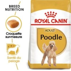 ROYAL CANIN Caniche Adulte Croquettes Chien 1,5 Kg