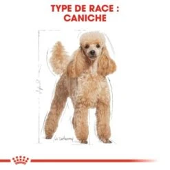 ROYAL CANIN Caniche Adulte Croquettes Chien 1,5 Kg -Meilleure Animalerie a5f2a5751e983849be0850c6932e1cfc34068930 a1aedb1ac7cf4e87ece35bfc9e0932983397d4ab