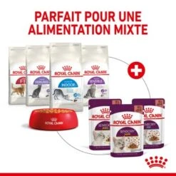 ROYAL CANIN Sensory Smell Nourriture Humide Chat 12 X 85 G -Meilleure Animalerie a5fa4df5a906acccebc75fedebda0adde4d16b52 1368003 fr FR smellgravy 5