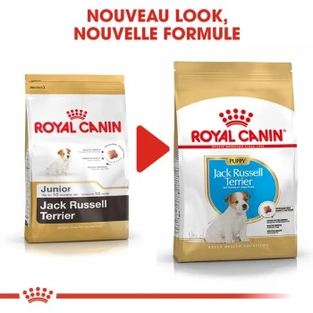 ROYAL CANIN Jack Russell Terrier Chiot Croquettes Chien 1,5 Kg 11 ROYAL CANIN Jack Russell Terrier Chiot Croquettes Chien 1,5 Kg – Image 9