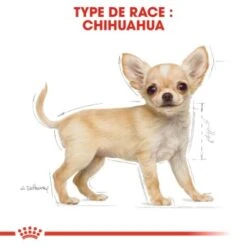 ROYAL CANIN Chihuahua Chiot Croquettes Chien 1,5 Kg -Meilleure Animalerie a6ac294ccd91330bf555a8831da50c403e195141 1032298 fr FR chihupup 6