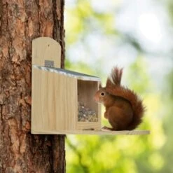 AniOne Distributeur De Nourriture Pour écureuils -Meilleure Animalerie a7d05daa79174a539062e88ae3dab404e6f4e0be 1272033 de DE AniOne 3