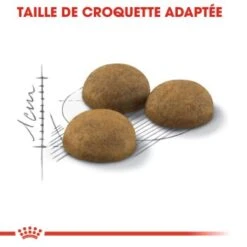 ROYAL CANIN Indoor Long Hair Croquettes Chat 2 Kg -Meilleure Animalerie a871cea21f16d4ed2627f505630360dfc30eb55b 1031038 fr FR indoorlonghair 12 Kopie