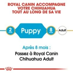ROYAL CANIN Chihuahua Chiot Croquettes Chien 1,5 Kg -Meilleure Animalerie a98fb0de10bd6d66a729b2e0e1baff56b45b9bef 1032298 fr FR chihupup 3