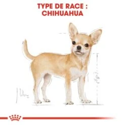 ROYAL CANIN Chihuahua Adulte Nourriture Humide Chien 12 X 85 G -Meilleure Animalerie ad0abf031a300cb58d7822670bdcb5b4b928fa34 1239183 fr FR chihuwet 3