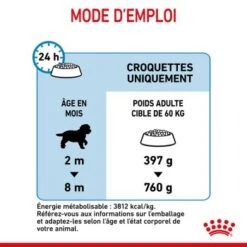 ROYAL CANIN Giant Chiot Croquettes Chien 3,5 Kg -Meilleure Animalerie ad8f6beb0ec870992f5061b405e36b49b838348b 1278345 fr FR puppygiant 8
