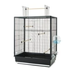 Savic Cage à Oiseau Primo 60