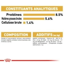 ROYAL CANIN Chihuahua Adulte Nourriture Humide Chien 12 X 85 G -Meilleure Animalerie afda1cbe123433a9c0e5b9eb942a2e1f0bf1a1ef 1239183 fr FR chihuwet 8