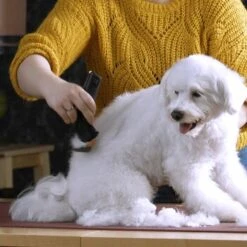 Moser Tondeuse Arco Pro 16 Moser Tondeuse Arco Pro -Meilleure Animalerie b131ca6d4dc18dbcff5826048d13c7a9865a2f22 9527aaf3ea2ef7fd3da12225a4b042dbe7fd8159