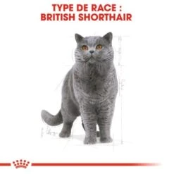 ROYAL CANIN British Shorthair Adulte Croquettes Chat 10 Kg -Meilleure Animalerie b155e0b8519edba97e5a1a0a8bf57c902d7f114e d0ba944fe20930a701288e13d63bb5ec35a73740