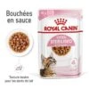 ROYAL CANIN Kitten Sterilised Sauce - Sachet Fraîcheur Pour Chaton Stérilisé 12x85g -Meilleure Animalerie b1a6f7441c827fda40cd14ed9b28633a5d2199ca 1298264 fr FR grav 1