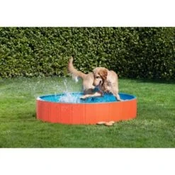 FIT+FUN Piscine S -Meilleure Animalerie b1cb34c1bb87f494acad835c3466dcf4312a1144 49528db90b739bc978efe51f63d1f6253667db9a