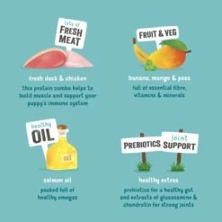 Edgard & Cooper Junior Au Canard & Poulet 6 x 400 g 12 Edgard & Cooper Junior Au Canard & Poulet 6 x 400 g -Meilleure Animalerie b25bc90af692459b0b3adff06f24f6d803102d4f 0d9c324a22bc35dc894840b41b7844586a99c622