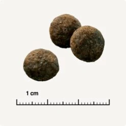 SELECT GOLD Sensitive Mini Senior à L’agneau & Au Riz 1 Kg -Meilleure Animalerie b42013005bce143bf7916cb06ed1f4df41fa0779 1001718006 de DE 6