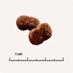 SELECT GOLD Senior Hair & Skin Volaille Au Saumon 3 Kg 10 SELECT GOLD Senior Hair & Skin Volaille Au Saumon 3 Kg -Meilleure Animalerie b42128ae83c41454d6be7d6047b7c0aaed5f051a 1001086011 de DE 6