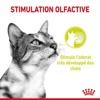 ROYAL CANIN Sensory Smell Nourriture Humide Chat 12 X 85 G 6 ROYAL CANIN Sensory Smell Nourriture Humide Chat 12 X 85 G – Image 4