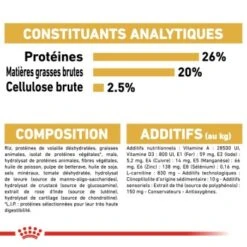 ROYAL CANIN Rottweiler Adulte Croquettes Chien 12 Kg -Meilleure Animalerie b8dd5c73a767f6c144fb27bcd707d224361f542a 1031652 fr FR rottweiler 8